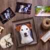 Framed Pet Portrait