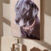 Hand drawn pet oil painting customization