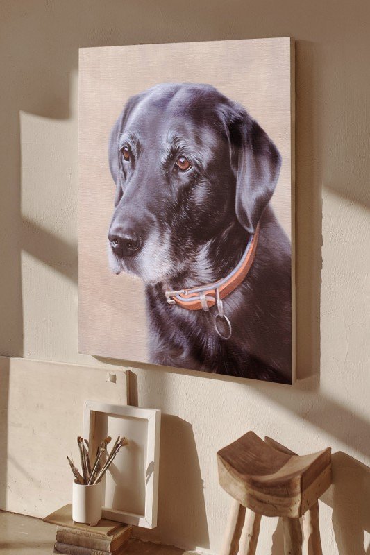 Hand drawn pet oil painting customization