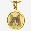 Pet brass identity tag - anti loss commemorative tag