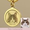 Pet brass identity tag - anti loss commemorative tag