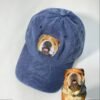 Hand embroidered pet baseball cap