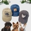 Hand embroidered pet baseball cap