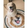 Custom Pet Printed Cream Velvet Carpet